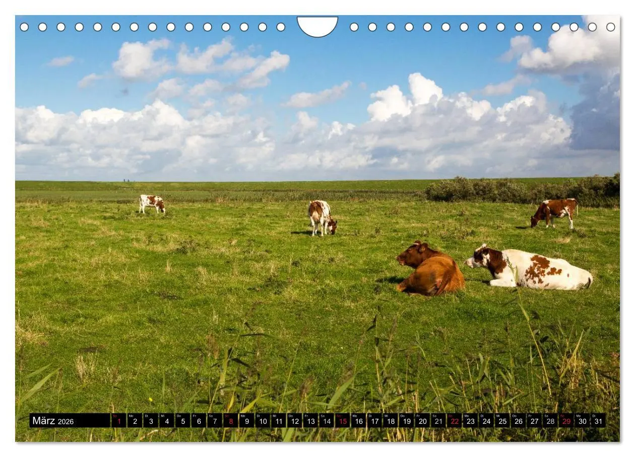 Bild: 9783457954195 | Grüße von Pellworm (Wandkalender 2026 DIN A4 quer), CALVENDO...