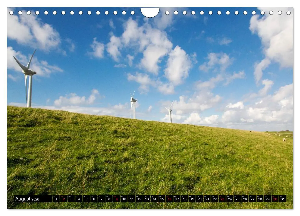 Bild: 9783457954195 | Grüße von Pellworm (Wandkalender 2026 DIN A4 quer), CALVENDO...