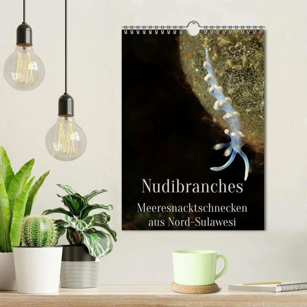 Bild: 9783516734195 | Nudibranches Meeresnacktschnecken aus Nord-Sulawesi (Wandkalender...