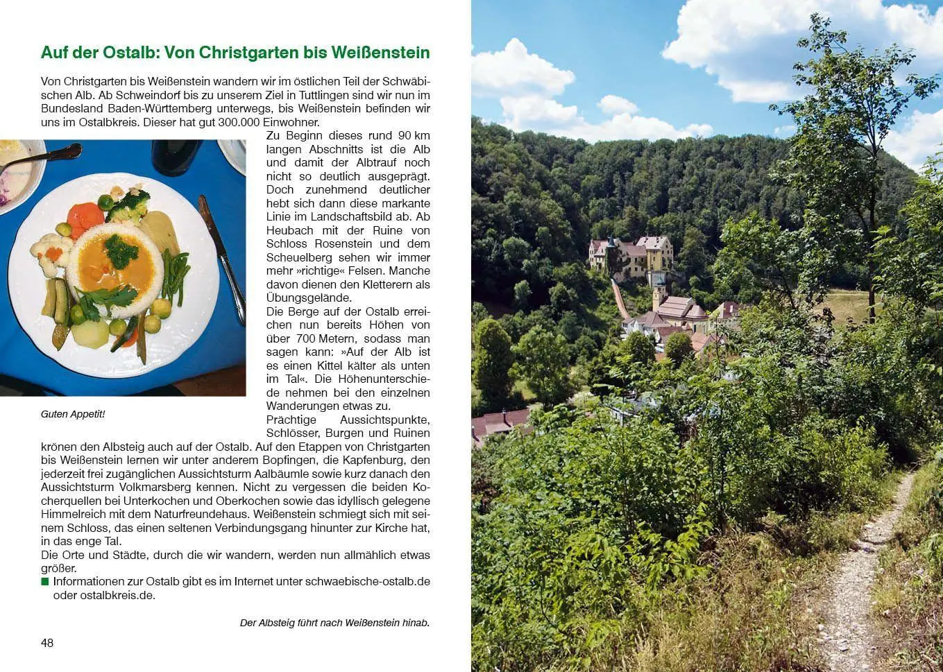 Bild: 9783763314195 | Albsteig | Renate Florl | Taschenbuch | Rother Wanderführer | 200 S.