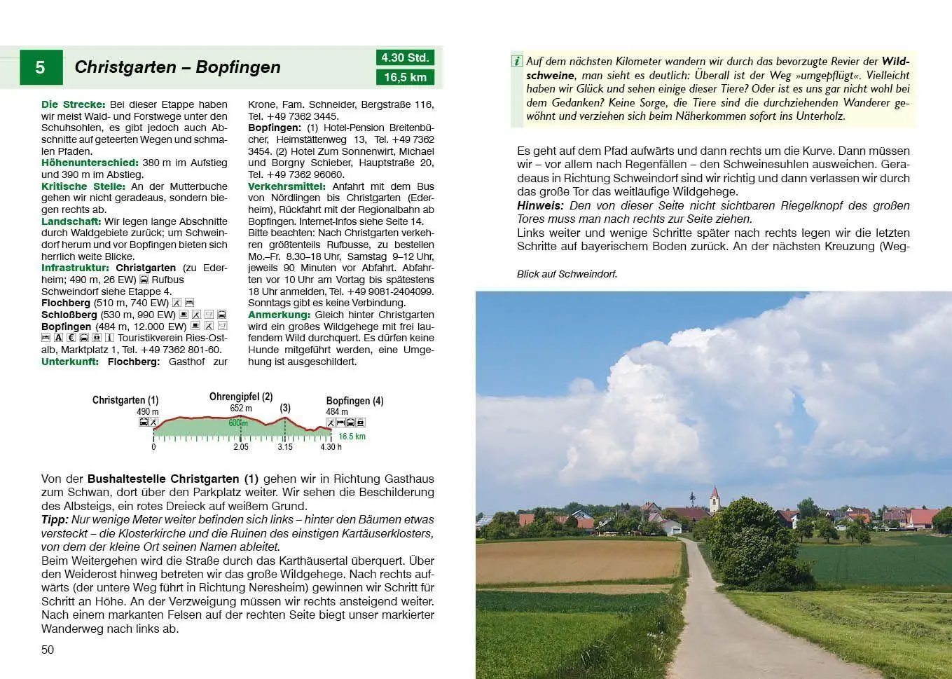 Bild: 9783763314195 | Albsteig | Renate Florl | Taschenbuch | Rother Wanderführer | 200 S.