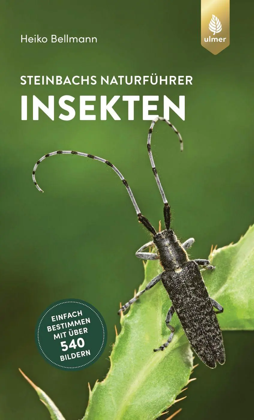 Cover: 9783818614195 | Steinbachs Naturführer Insekten | Heiko Bellmann | Taschenbuch | 2022