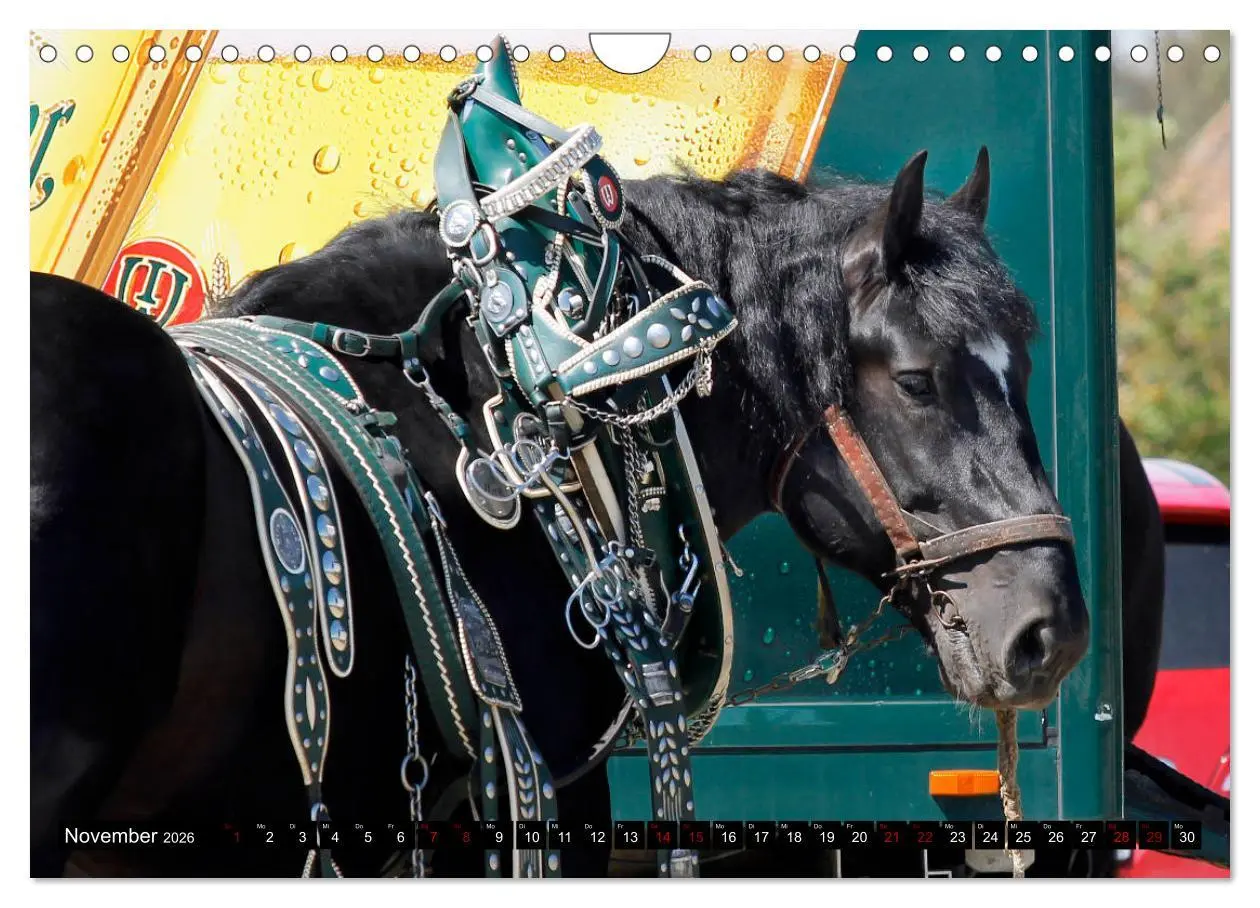 Bild: 9783457874295 | Schwere Pferde 2026 (Wandkalender 2026 DIN A4 quer), CALVENDO...