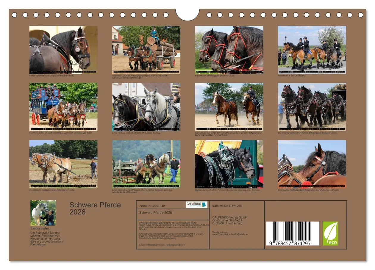 Bild: 9783457874295 | Schwere Pferde 2026 (Wandkalender 2026 DIN A4 quer), CALVENDO...