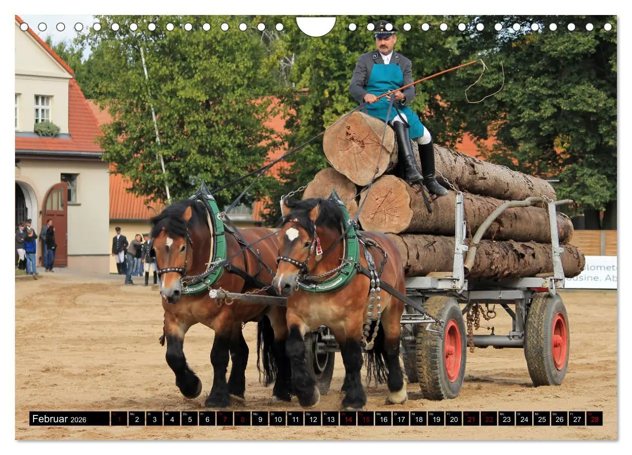 Bild: 9783457874295 | Schwere Pferde 2026 (Wandkalender 2026 DIN A4 quer), CALVENDO...