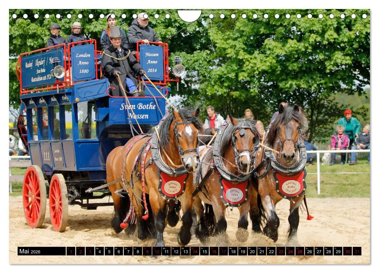 Bild: 9783457874295 | Schwere Pferde 2026 (Wandkalender 2026 DIN A4 quer), CALVENDO...