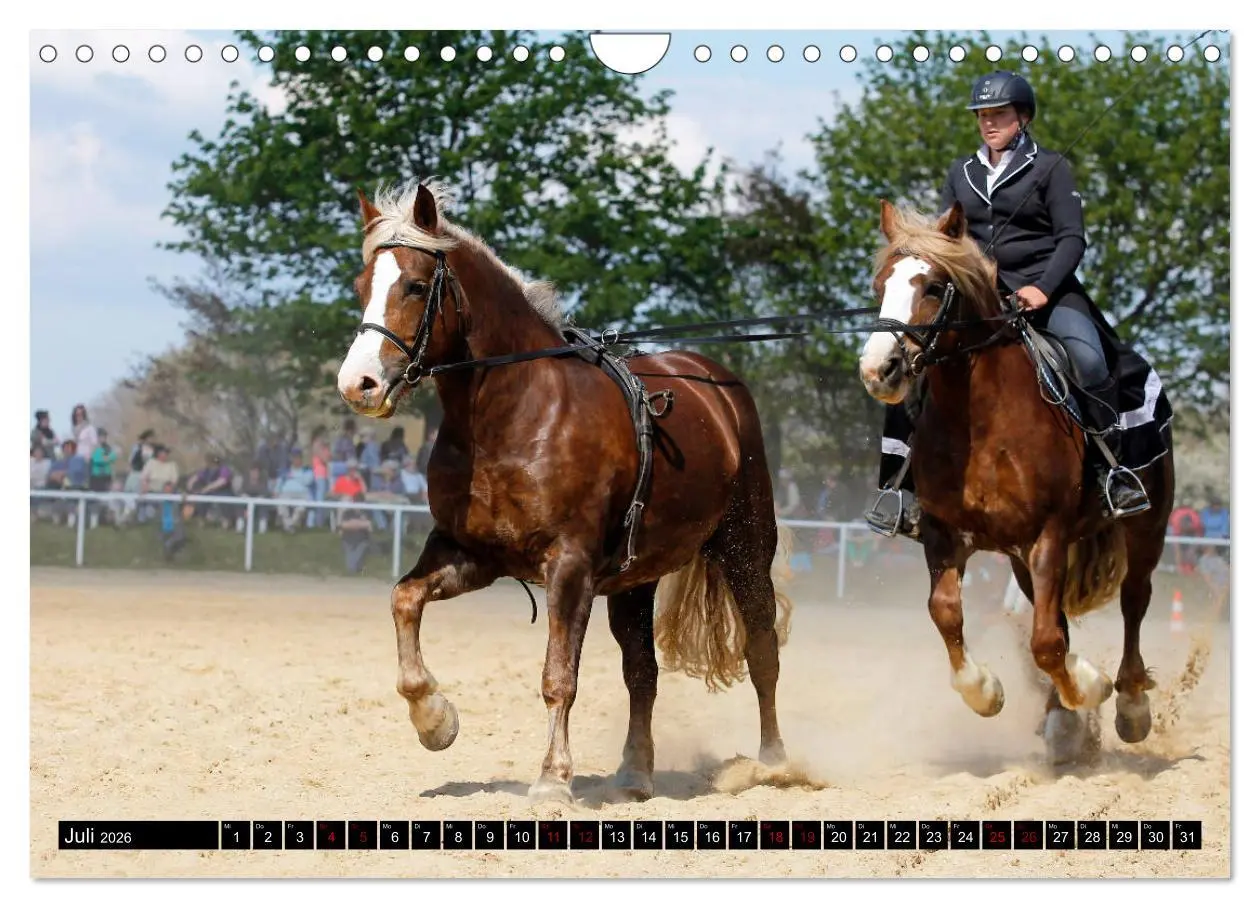 Bild: 9783457874295 | Schwere Pferde 2026 (Wandkalender 2026 DIN A4 quer), CALVENDO...