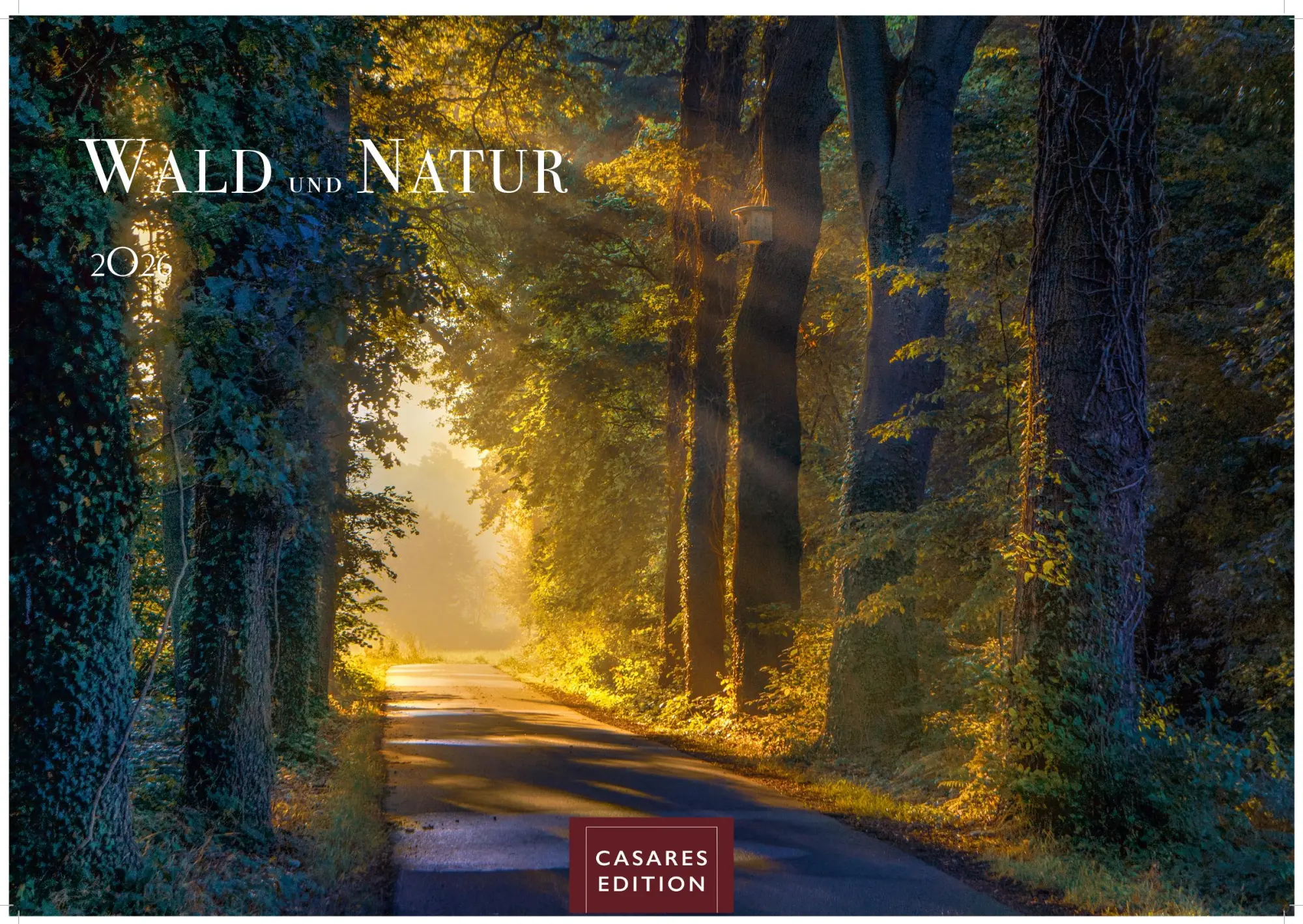 Cover: 9781835244395 | Wald &amp; Natur Kalender 2026 24x 35cm - Natürliche Schönheit &amp; Ruhe...