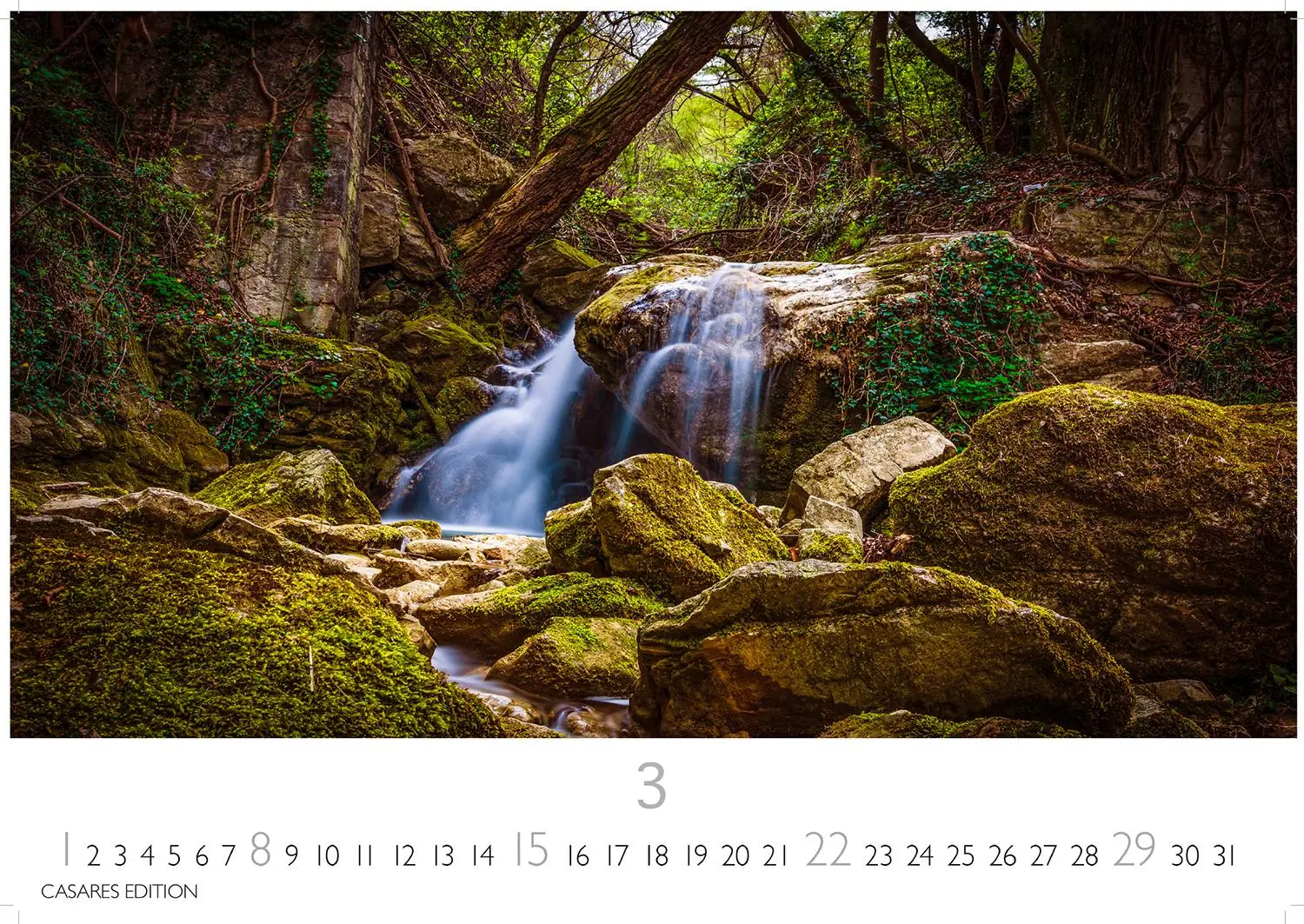 Bild: 9781835244395 | Wald &amp; Natur Kalender 2026 24x 35cm - Natürliche Schönheit &amp; Ruhe...