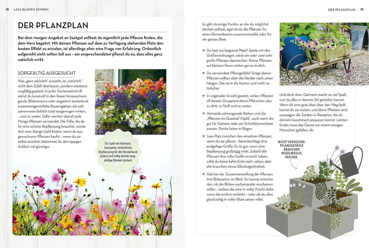 Bild: 9783440174395 | Samenwunder | Sophie Collins (u. a.) | Buch | 144 S. | Deutsch | 2022