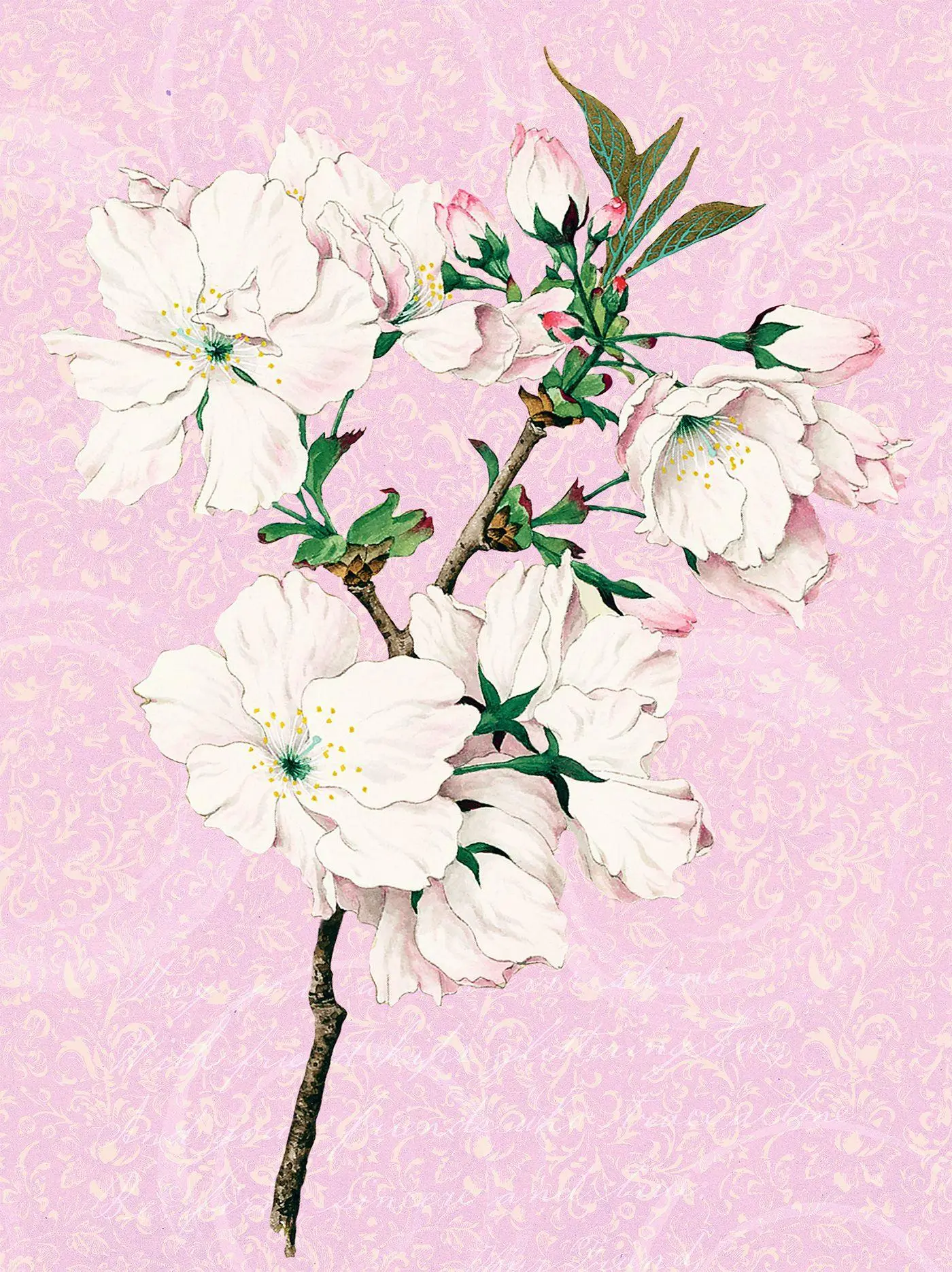 Bild: 4250915934495 | Die Gärten der Künstler Geschenkpapier-Heft Motiv Orchidee | Buch