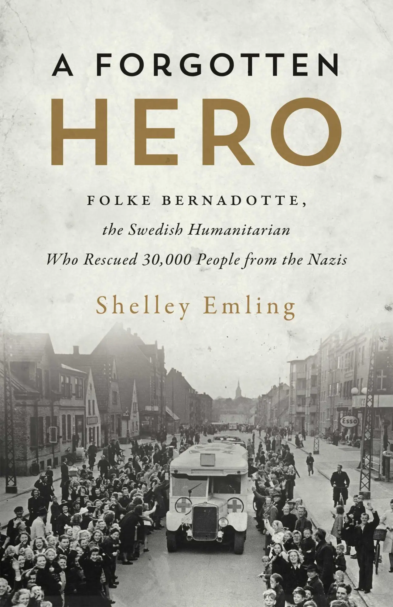 Cover: 9781770414495 | A Forgotten Hero | Shelley Emling | Buch | Englisch | 2019 | ECW Press