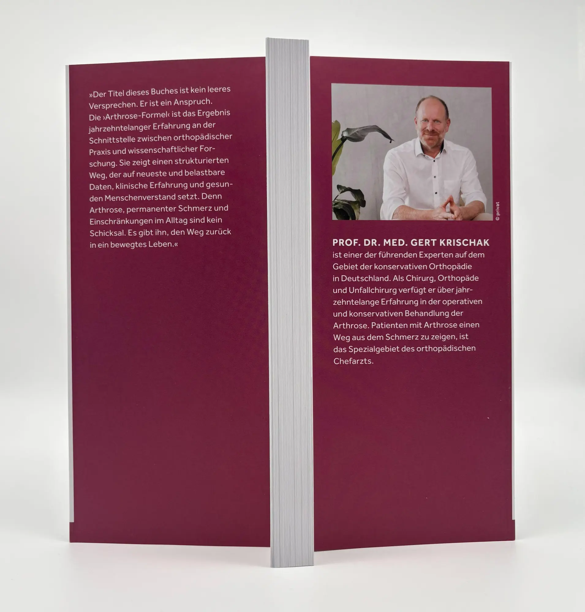 Bild: 9783423264495 | Die Arthrose-Formel | Gert Krischak | Taschenbuch | 256 S. | Deutsch