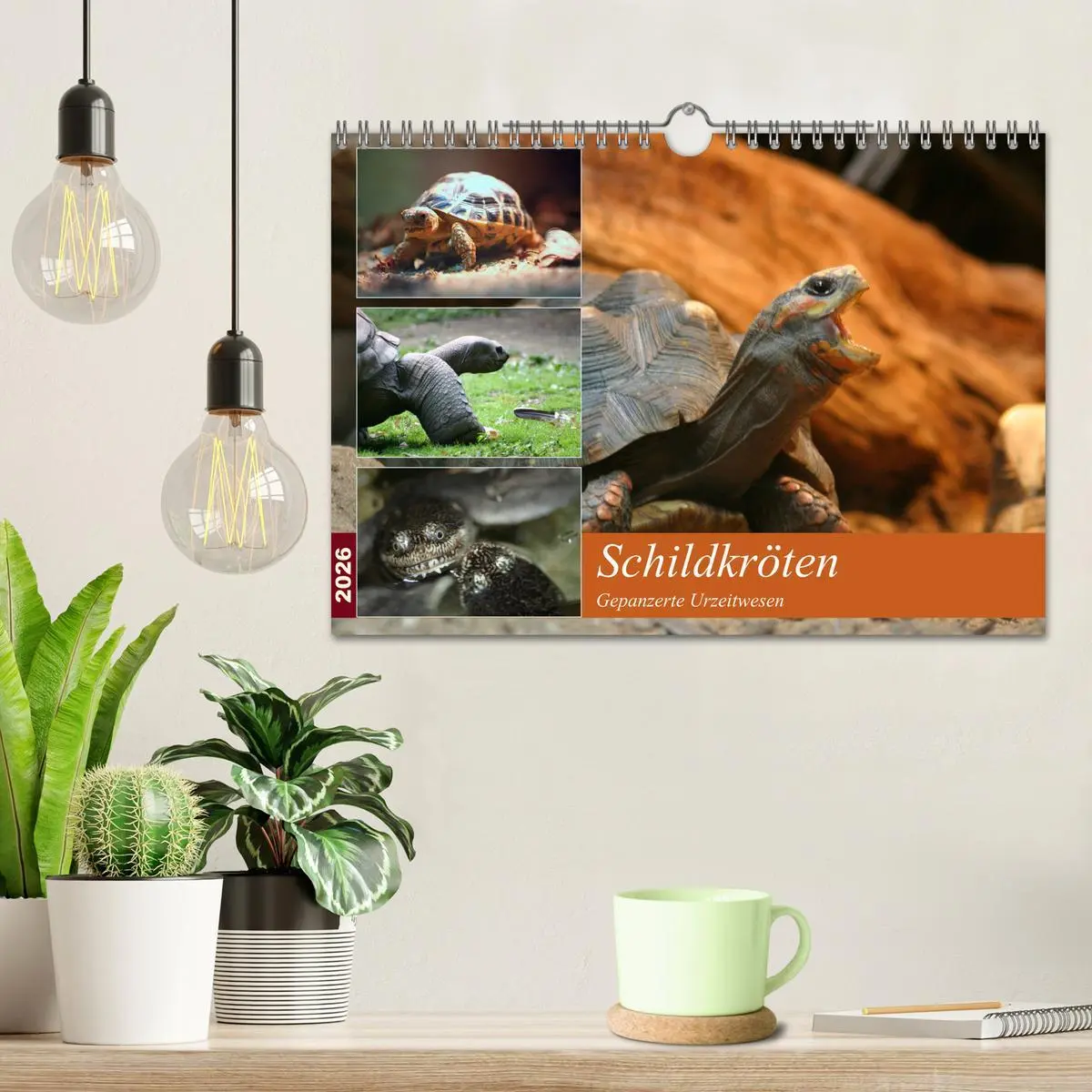 Bild: 9783516184495 | Schildkröten - Gepanzerte Urzeitwesen (Wandkalender 2026 DIN A4...