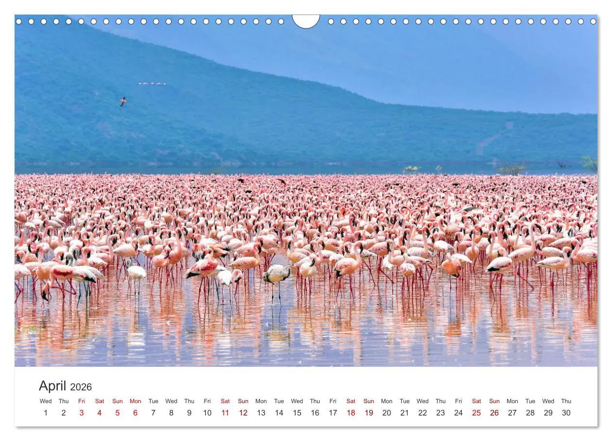 Bild: 9783516564495 | Kenya - a country like Africa (Wall Calendar 2026 DIN A3...