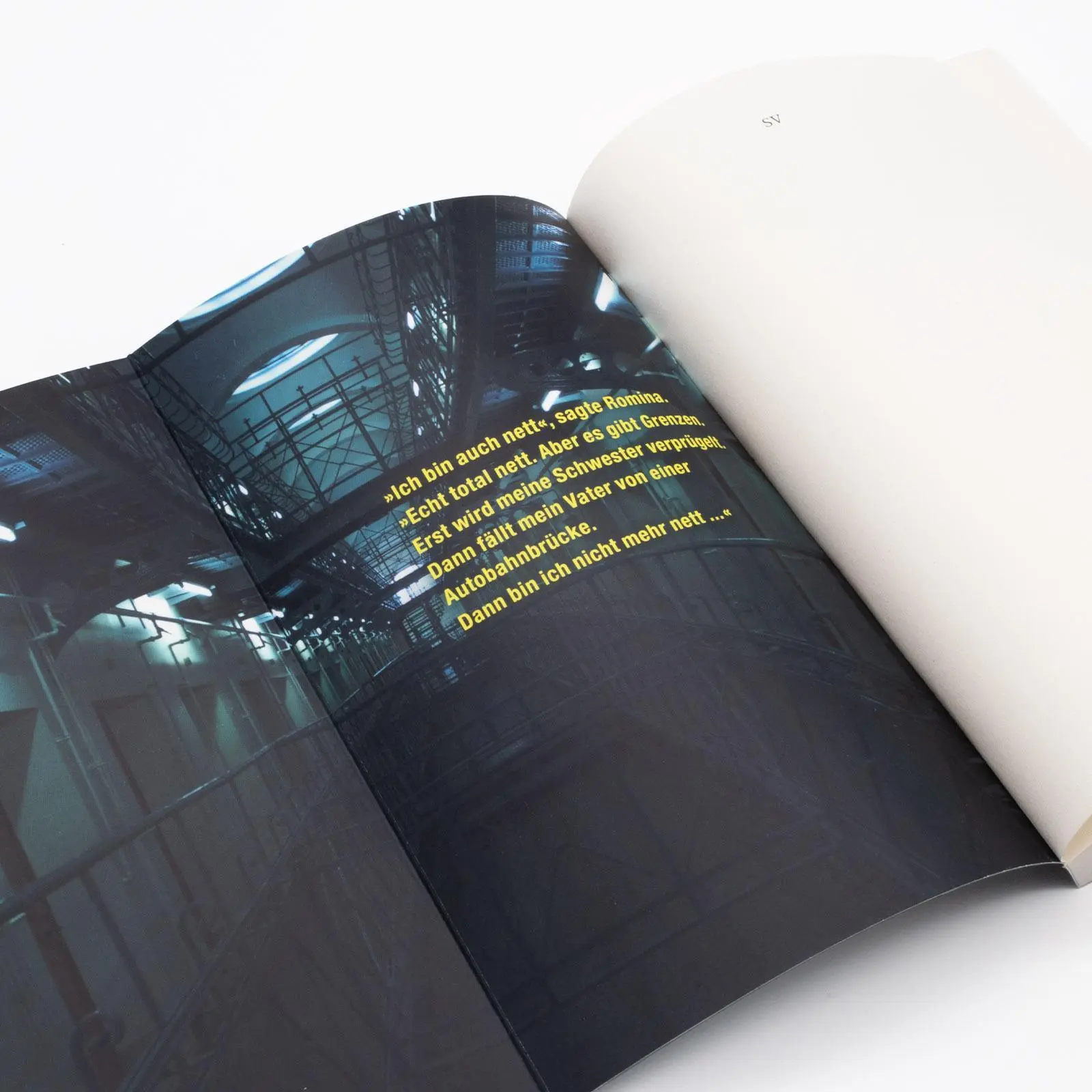 Bild: 9783518474495 | Skin City | Johannes Groschupf | Taschenbuch | Berlin Noir | 235 S.