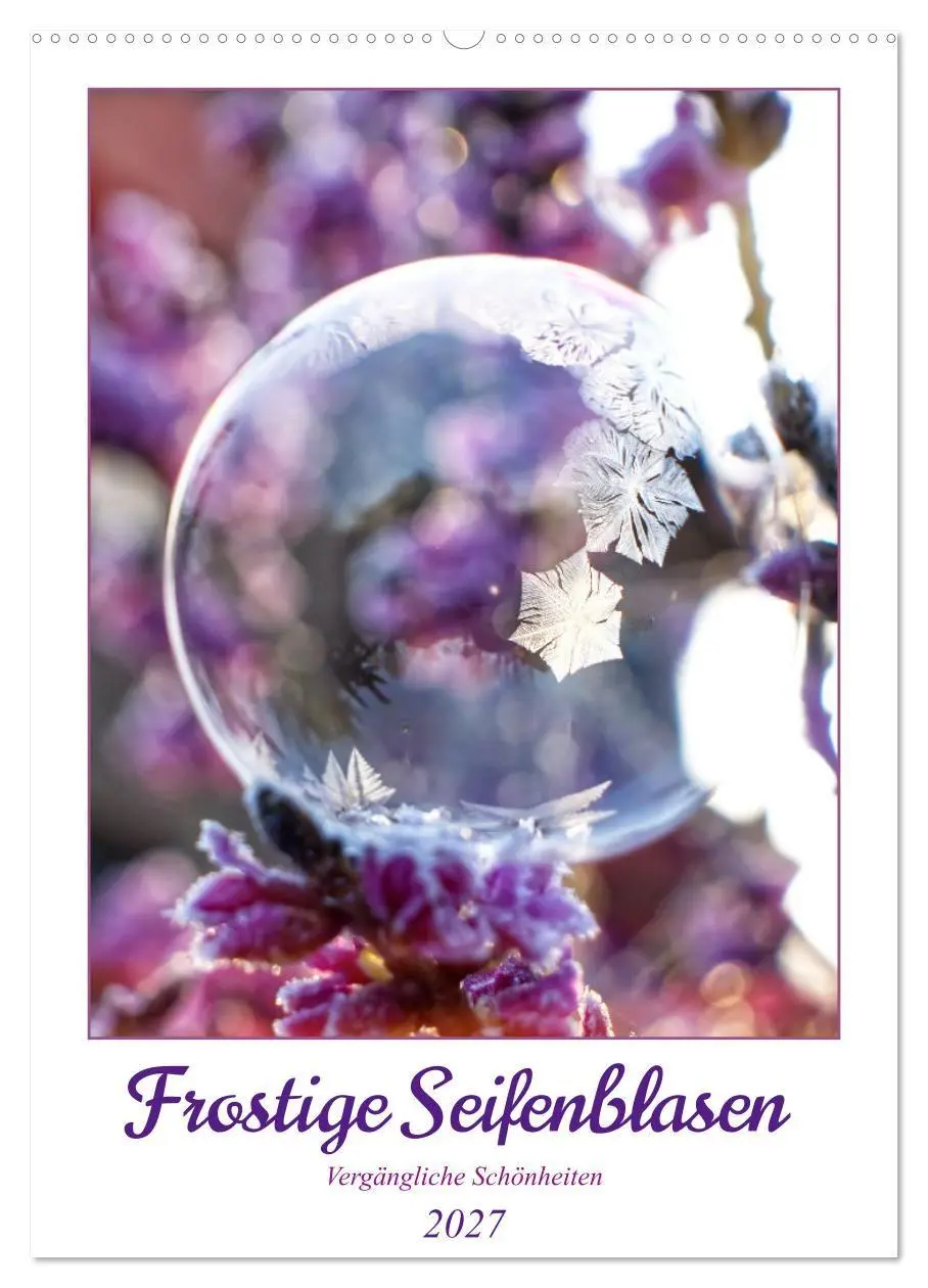 Cover: 9783569414495 | Frostige Seifenblasen (Wandkalender 2027 DIN A2 hoch), CALVENDO...