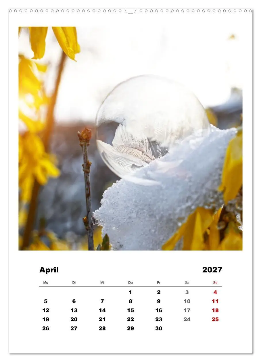 Bild: 9783569414495 | Frostige Seifenblasen (Wandkalender 2027 DIN A2 hoch), CALVENDO...