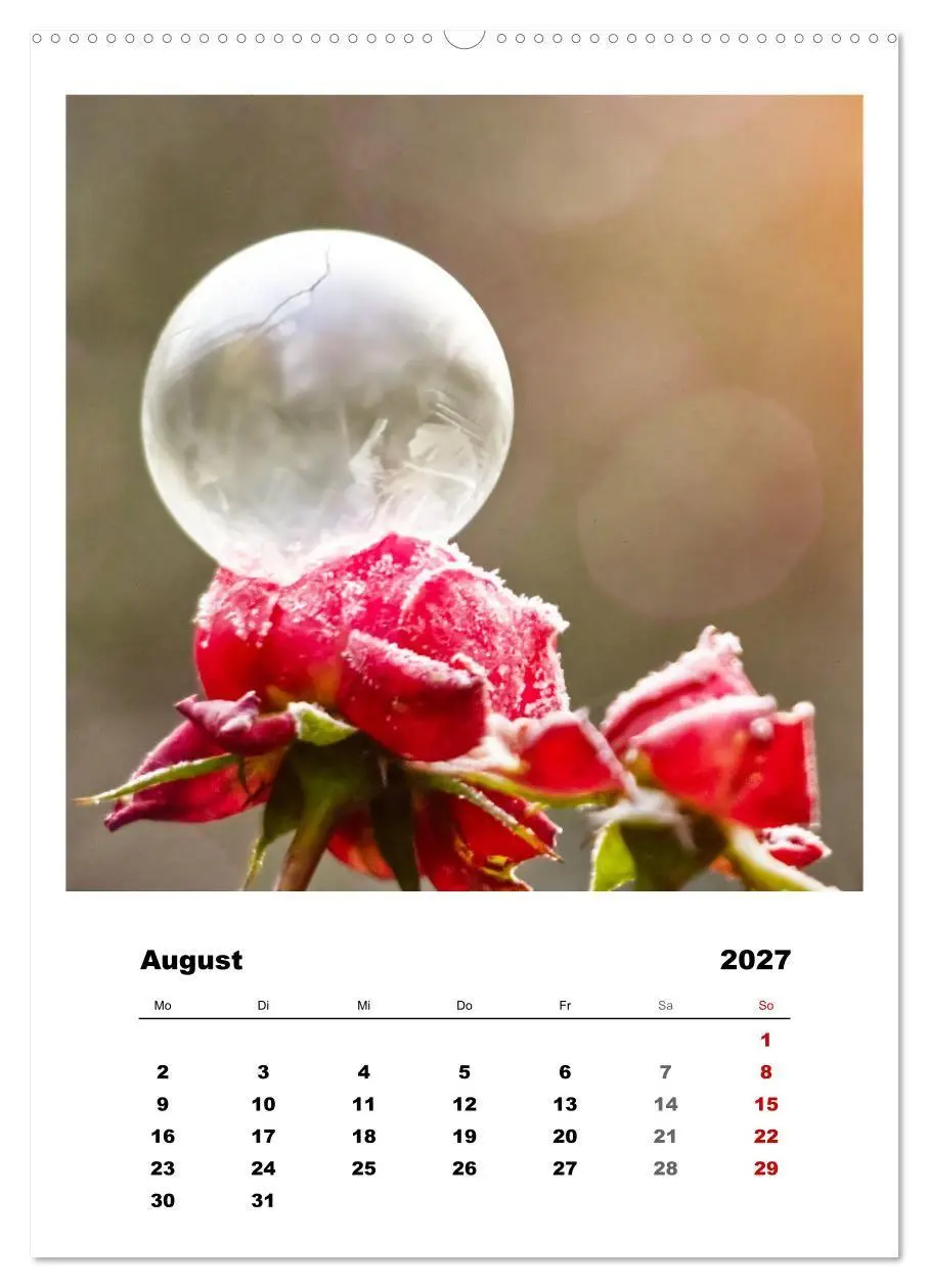 Bild: 9783569414495 | Frostige Seifenblasen (Wandkalender 2027 DIN A2 hoch), CALVENDO...