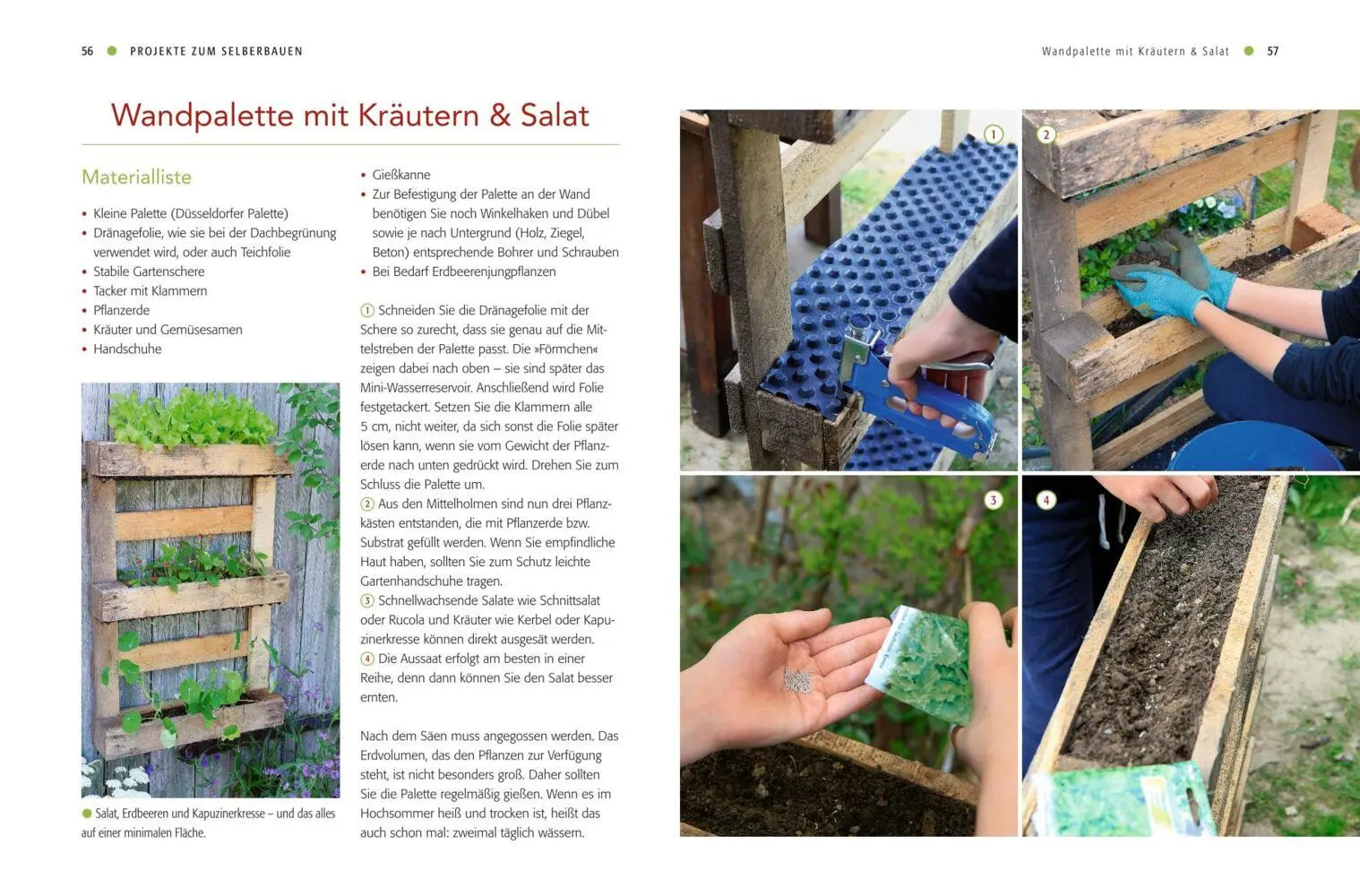 Bild: 9783835414495 | Vertical gardening | 44 Projekte für Balkon &amp; Garten | Folko Kullmann