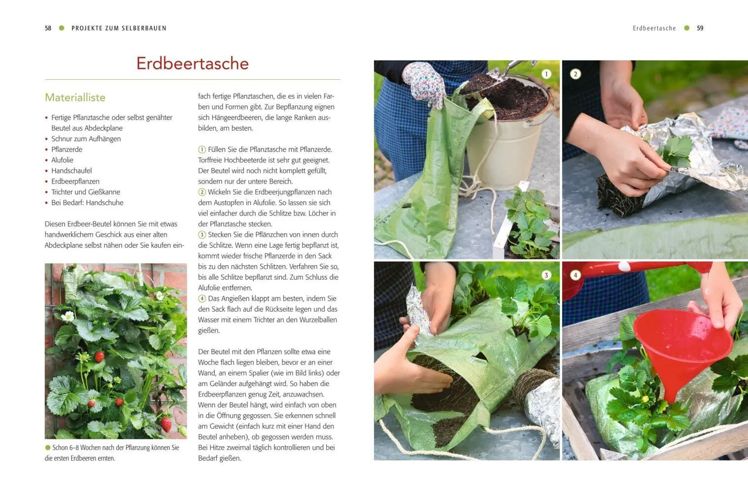 Bild: 9783835414495 | Vertical gardening | 44 Projekte für Balkon &amp; Garten | Folko Kullmann