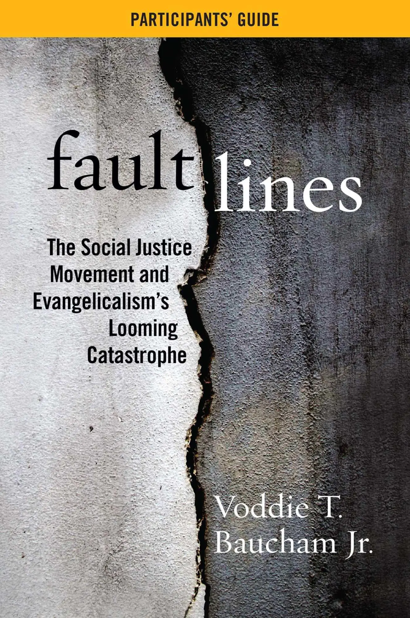 Cover: 9781684514595 | Fault Lines Participants' Guide | Voddie T Baucham | Taschenbuch