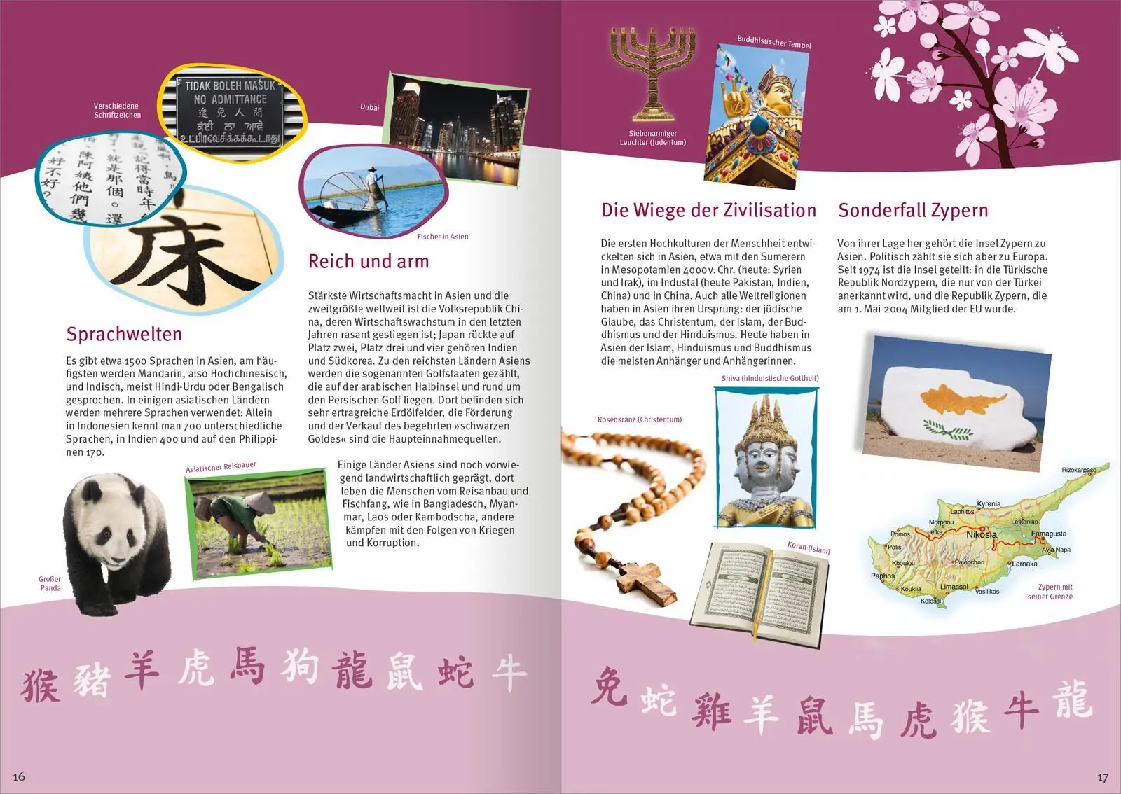 Bild: 9783845854595 | Das große Flaggen-Stickerbuch | Petra Bachmann | Taschenbuch | 56 S.