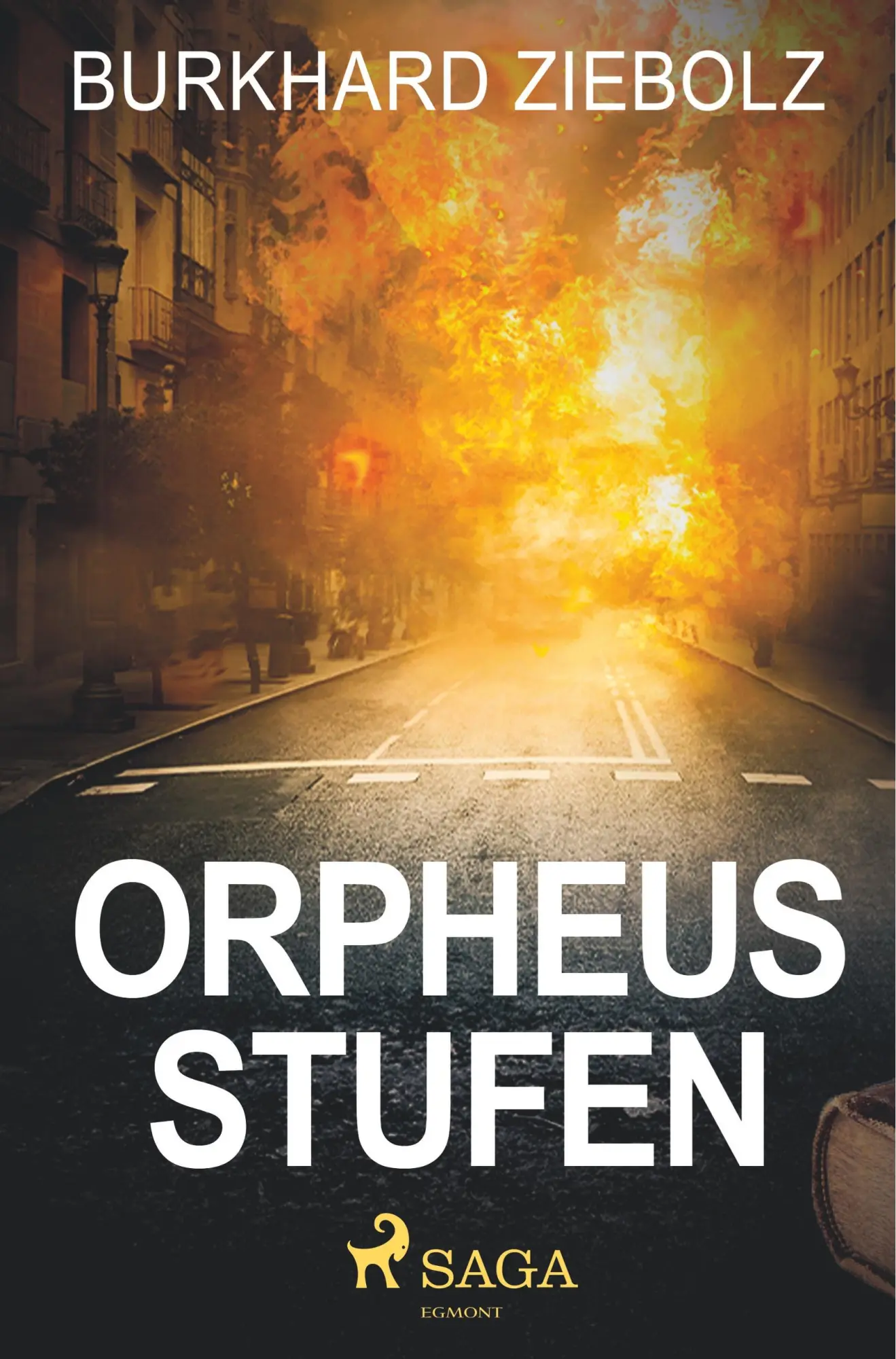 Cover: 9788726244595 | Orpheus Stufen - Kriminalroman | Burkhard Ziebolz | Taschenbuch | 2019