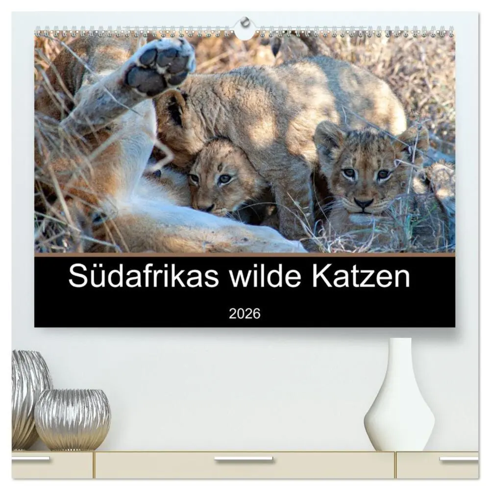 Cover: 9783457454695 | Südafrikas wilde Katzen (hochwertiger Premium Wandkalender 2026 DIN...