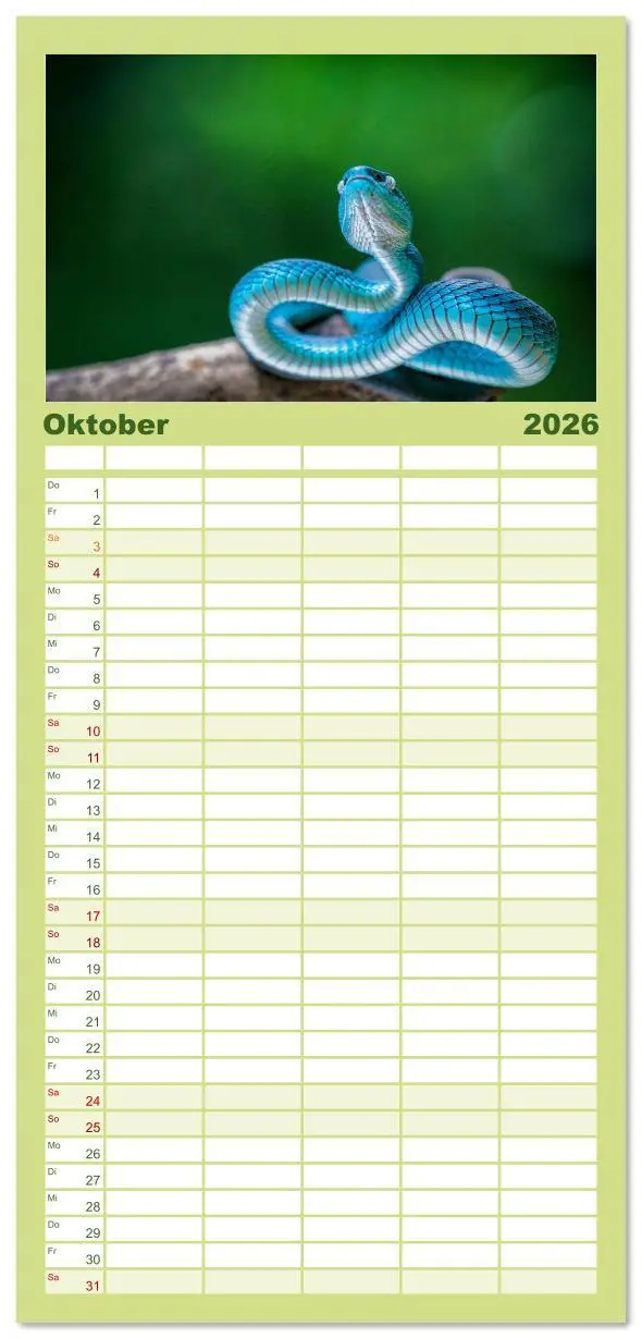 Bild: 9783516614695 | Familienplaner 2026 - Faszination Schlangen mit 5 Spalten...