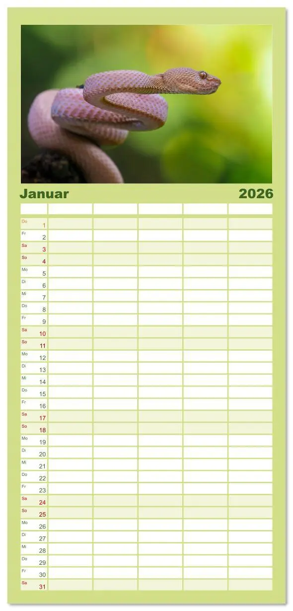 Bild: 9783516614695 | Familienplaner 2026 - Faszination Schlangen mit 5 Spalten...