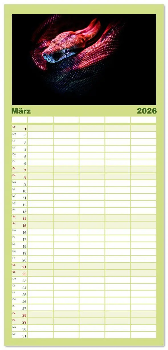 Bild: 9783516614695 | Familienplaner 2026 - Faszination Schlangen mit 5 Spalten...