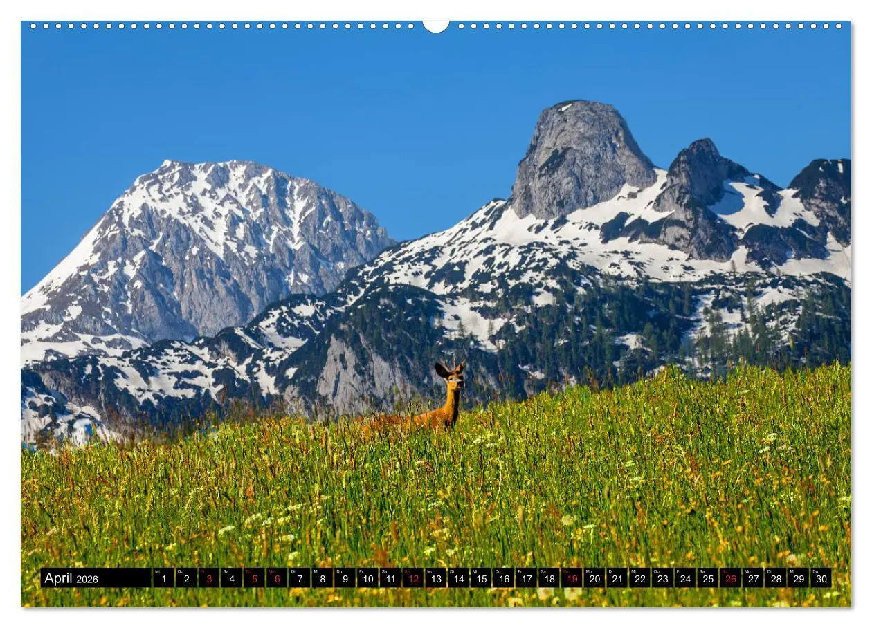 Bild: 9783457744895 | Abtenau im Lammertal (Wandkalender 2026 DIN A2 quer), CALVENDO...