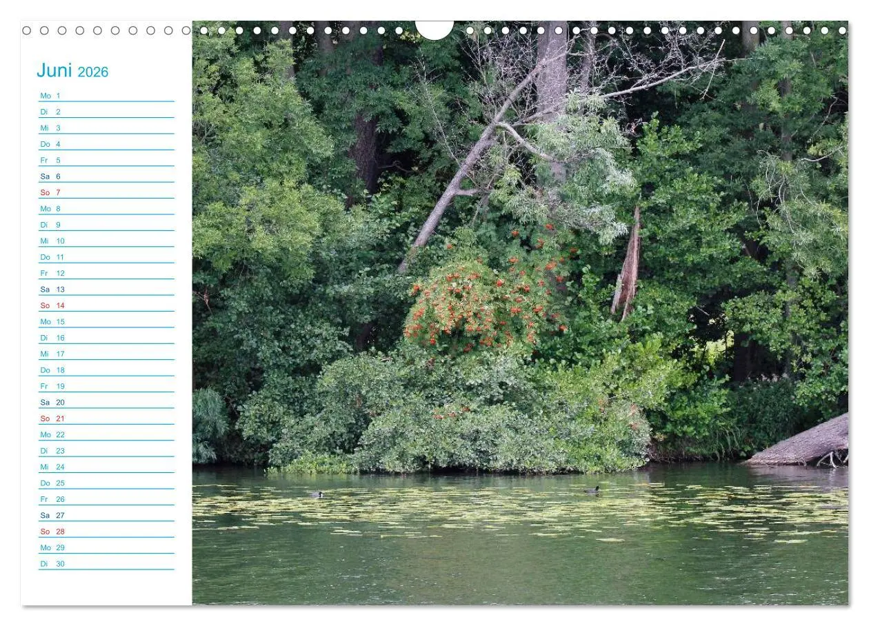 Bild: 9783457984895 | Urlaubsparadies Scharmützelsee (Wandkalender 2026 DIN A3 quer),...