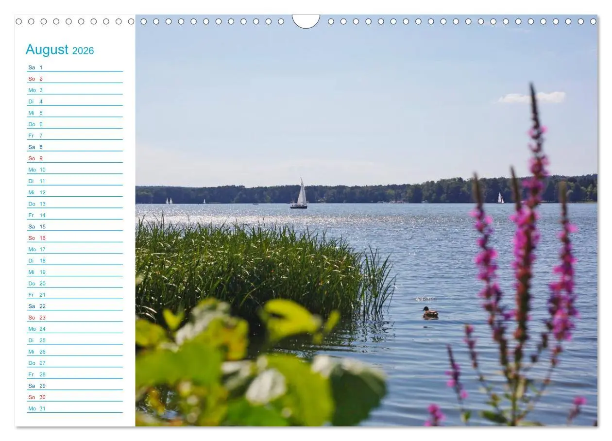 Bild: 9783457984895 | Urlaubsparadies Scharmützelsee (Wandkalender 2026 DIN A3 quer),...
