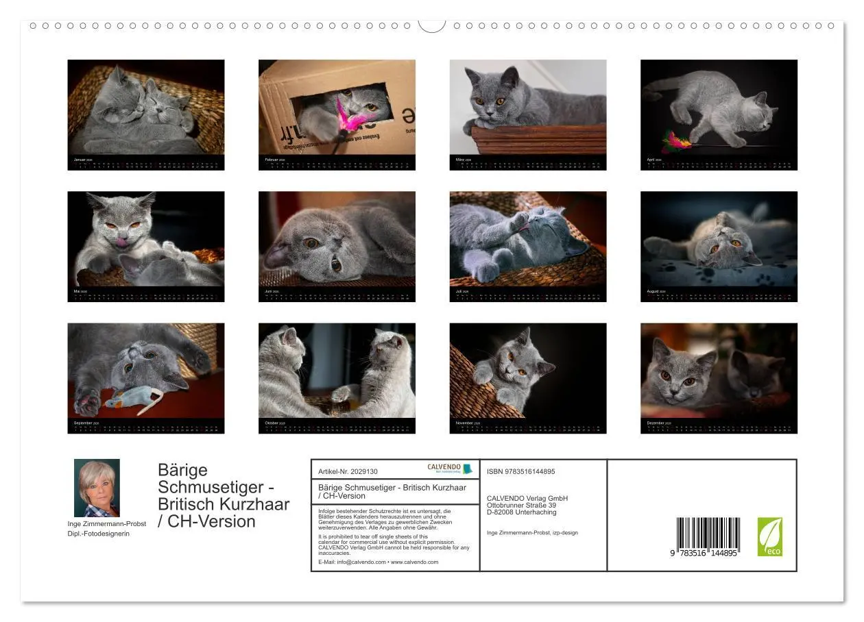 Bild: 9783516144895 | Bärige Schmusetiger - Britisch Kurzhaar / CH-Version (hochwertiger...