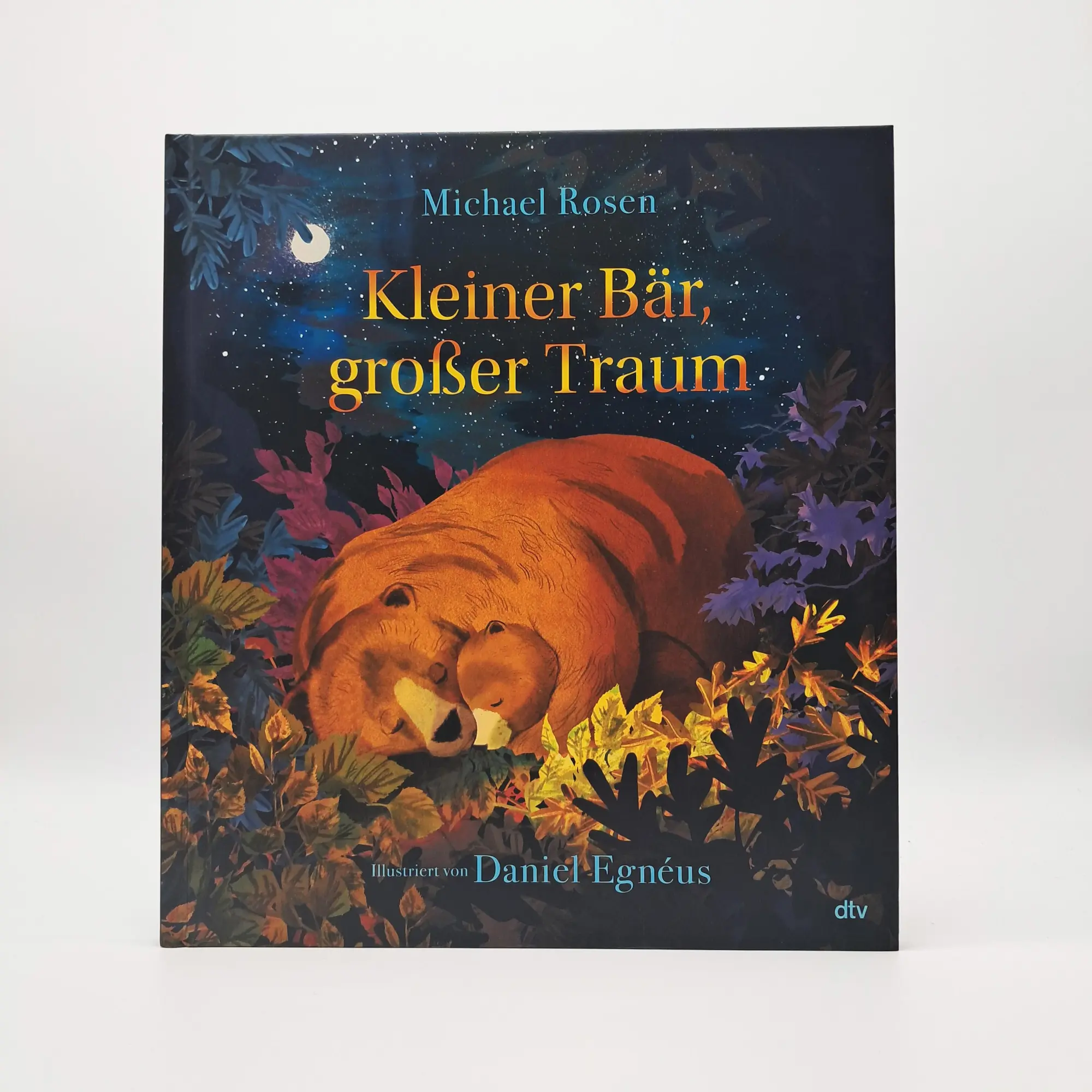 Bild: 9783423764995 | Kleiner Bär, großer Traum | Michael Rosen | Buch | 32 S. | Deutsch