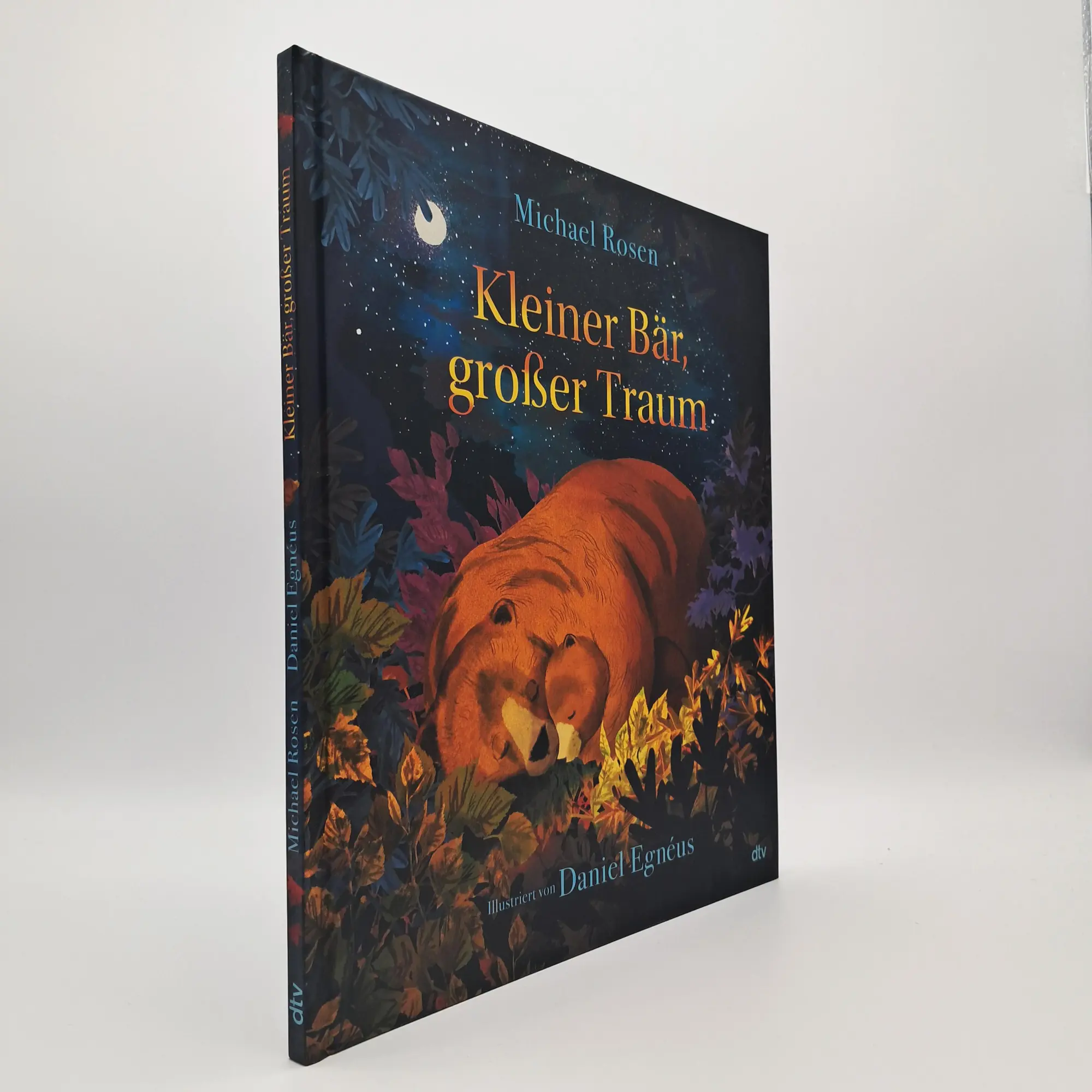 Bild: 9783423764995 | Kleiner Bär, großer Traum | Michael Rosen | Buch | 32 S. | Deutsch