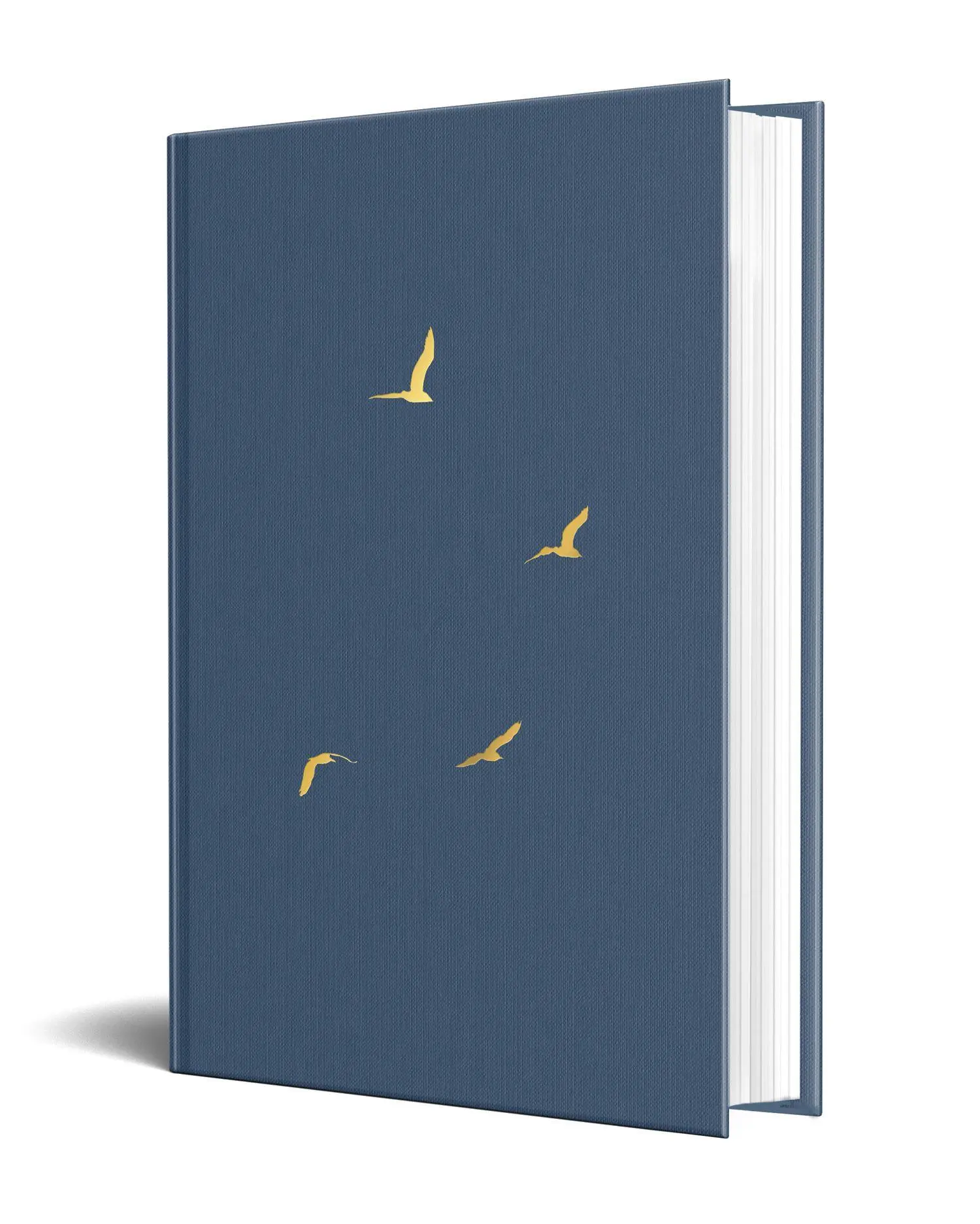 Bild: 9780008765095 | BALLAD OF RONAN MCCOY HB | Colin Morgan | Buch | Englisch | 2026