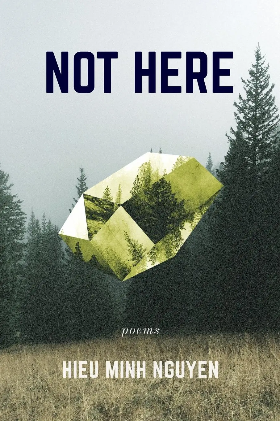 Cover: 9781566895095 | Not Here | Hieu Minh Nguyen | Taschenbuch | Kartoniert / Broschiert