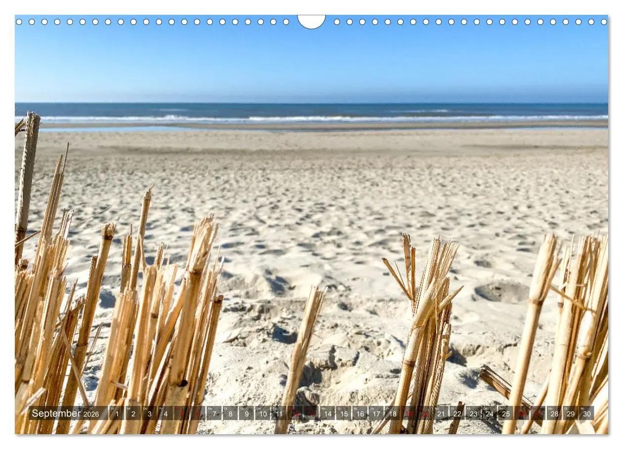 Bild: 9783457625095 | Ferien in Holland (Wandkalender 2026 DIN A3 quer), CALVENDO...
