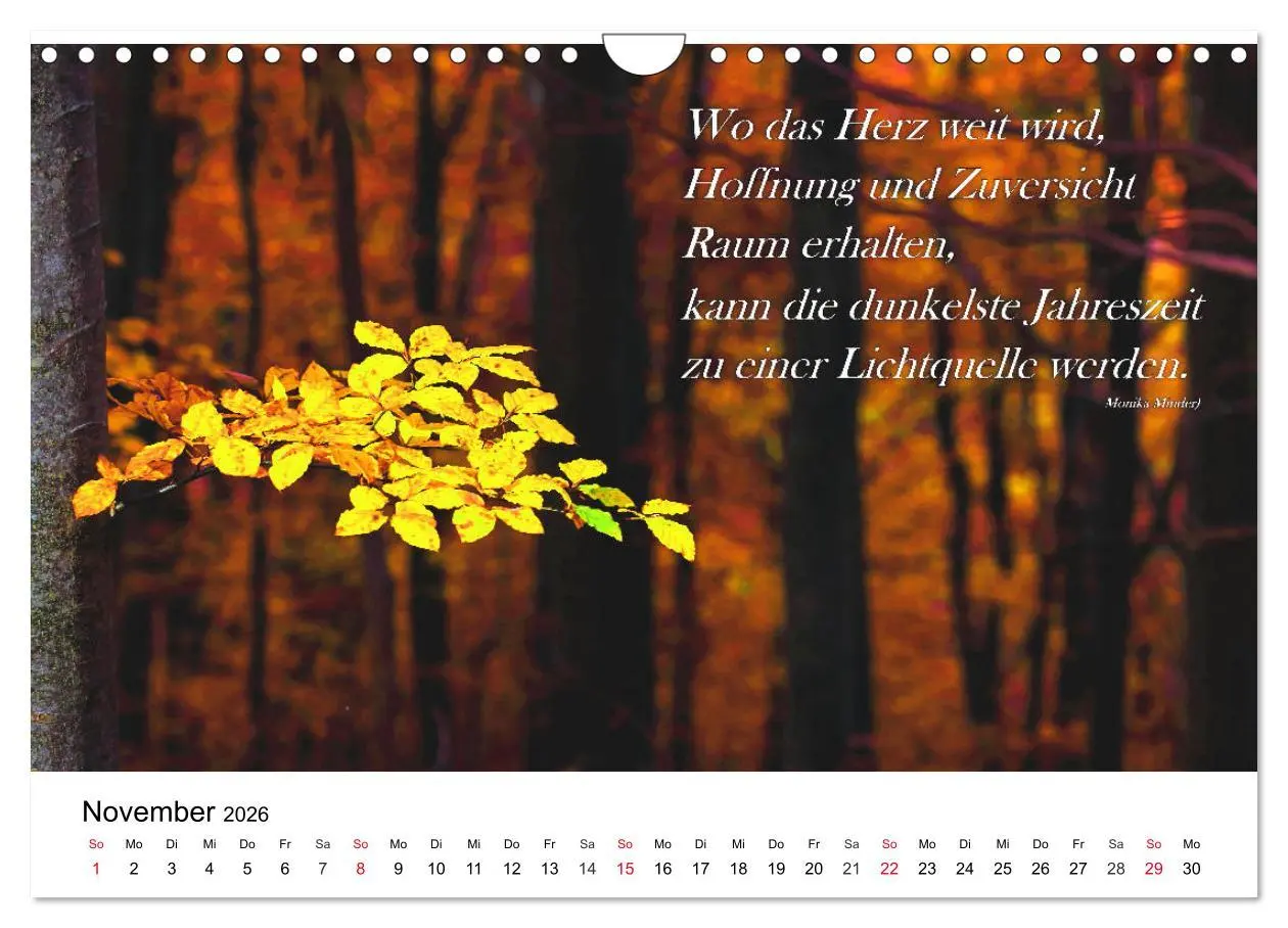 Bild: 9783457795095 | Lebensweisheiten 2026 (Wandkalender 2026 DIN A4 quer), CALVENDO...