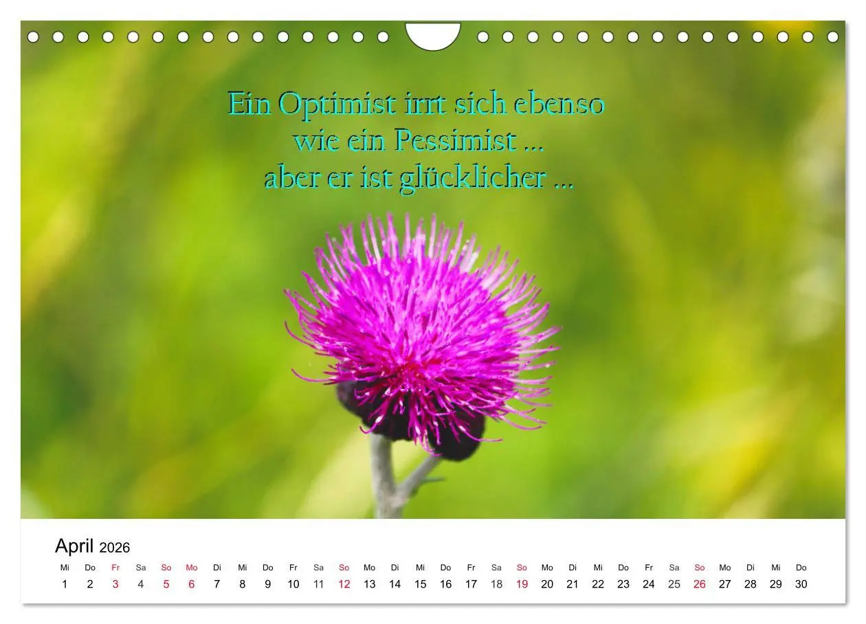 Bild: 9783457795095 | Lebensweisheiten 2026 (Wandkalender 2026 DIN A4 quer), CALVENDO...