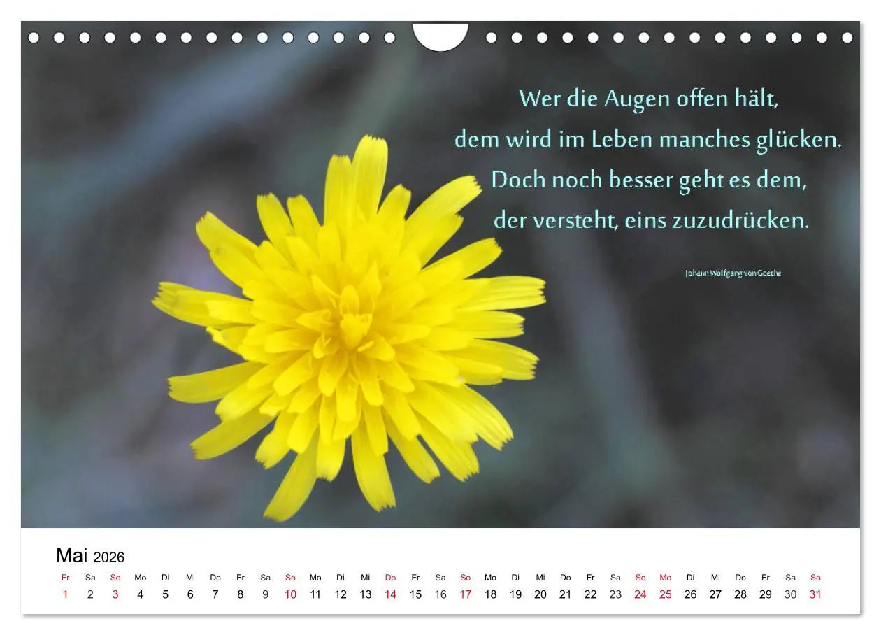 Bild: 9783457795095 | Lebensweisheiten 2026 (Wandkalender 2026 DIN A4 quer), CALVENDO...