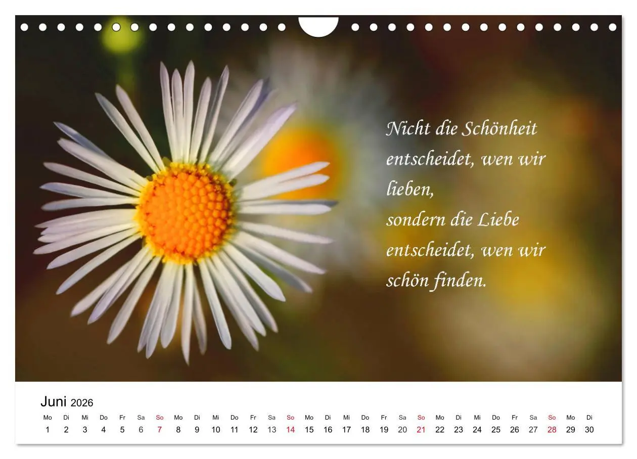 Bild: 9783457795095 | Lebensweisheiten 2026 (Wandkalender 2026 DIN A4 quer), CALVENDO...