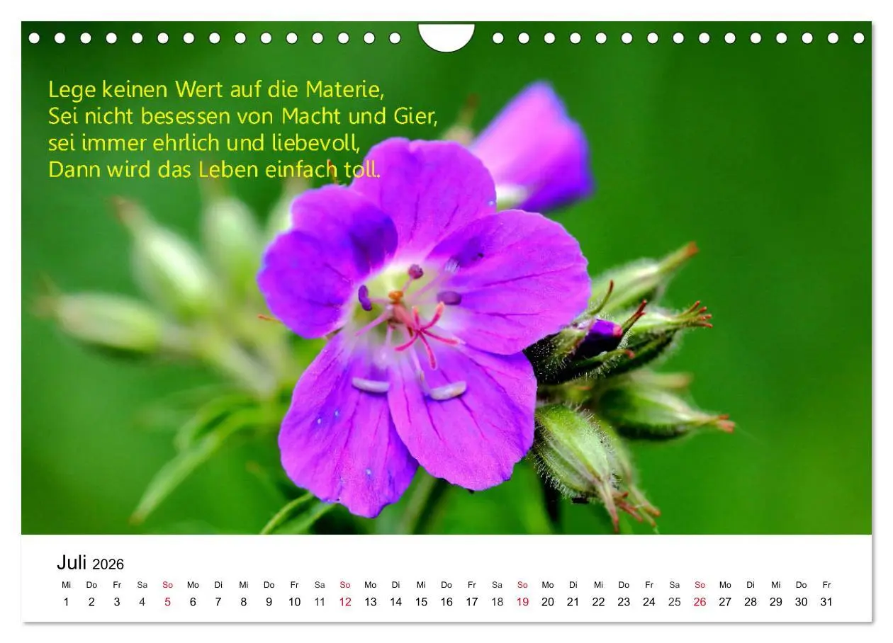 Bild: 9783457795095 | Lebensweisheiten 2026 (Wandkalender 2026 DIN A4 quer), CALVENDO...