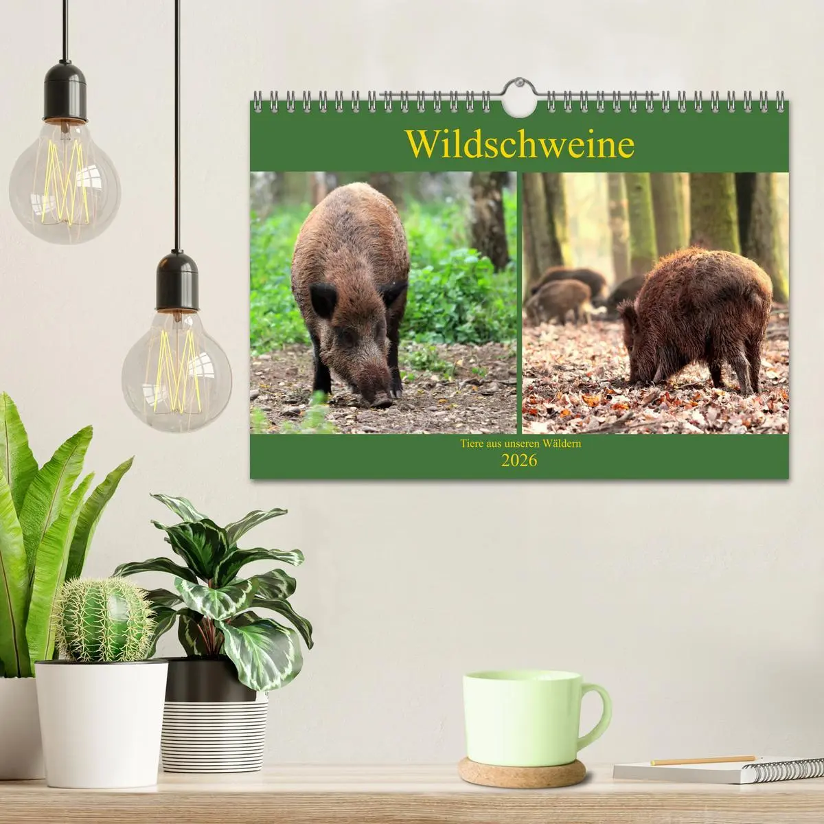 Bild: 9783457865095 | Wildschweine - Tiere aus unseren Wäldern (Wandkalender 2026 DIN A4...