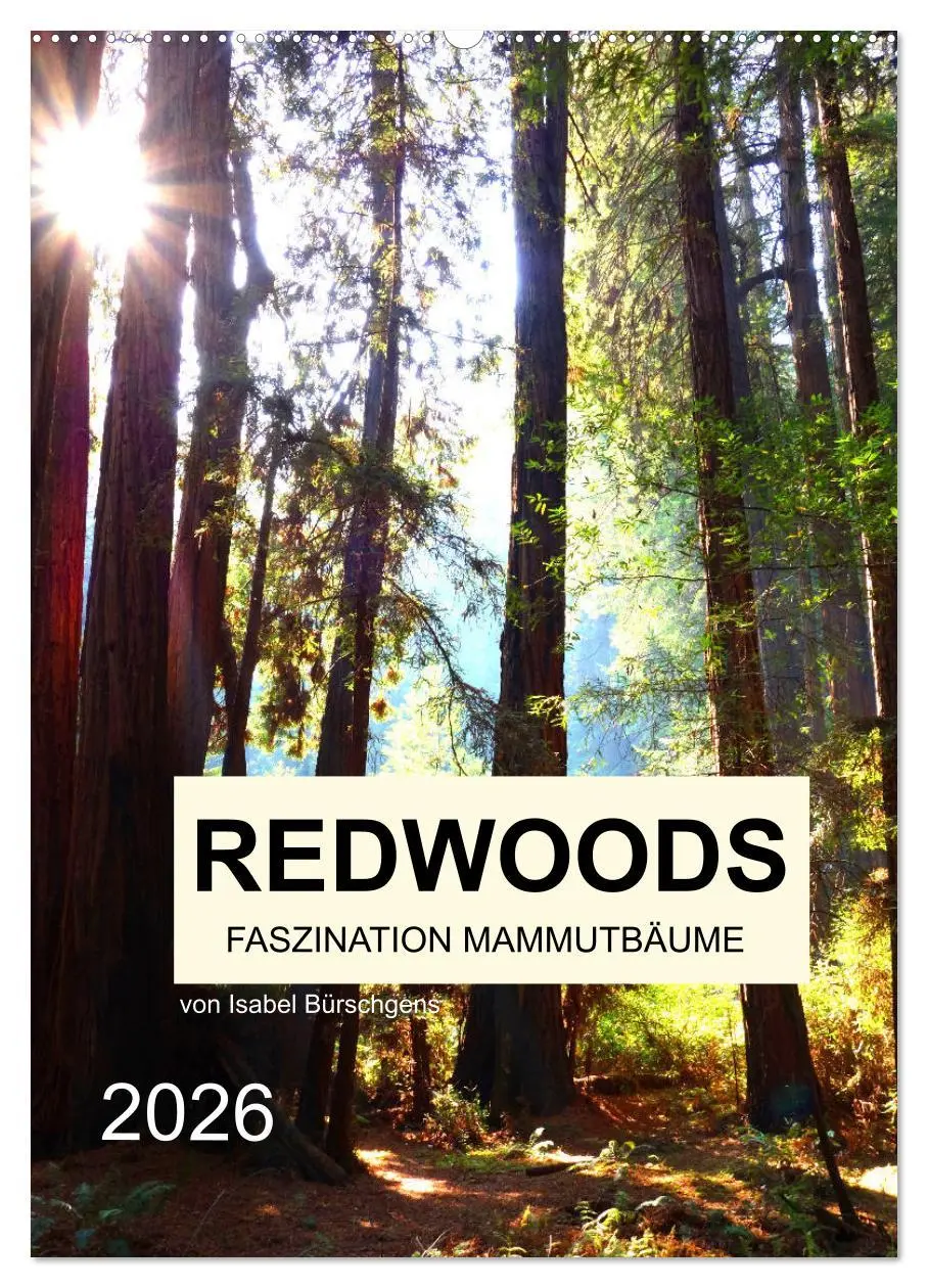 Cover: 9783516405095 | Redwoods - Faszination Mammutbäume (Wandkalender 2026 DIN A2 hoch),...