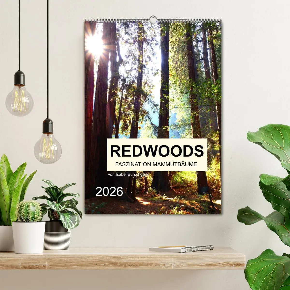 Bild: 9783516405095 | Redwoods - Faszination Mammutbäume (Wandkalender 2026 DIN A2 hoch),...