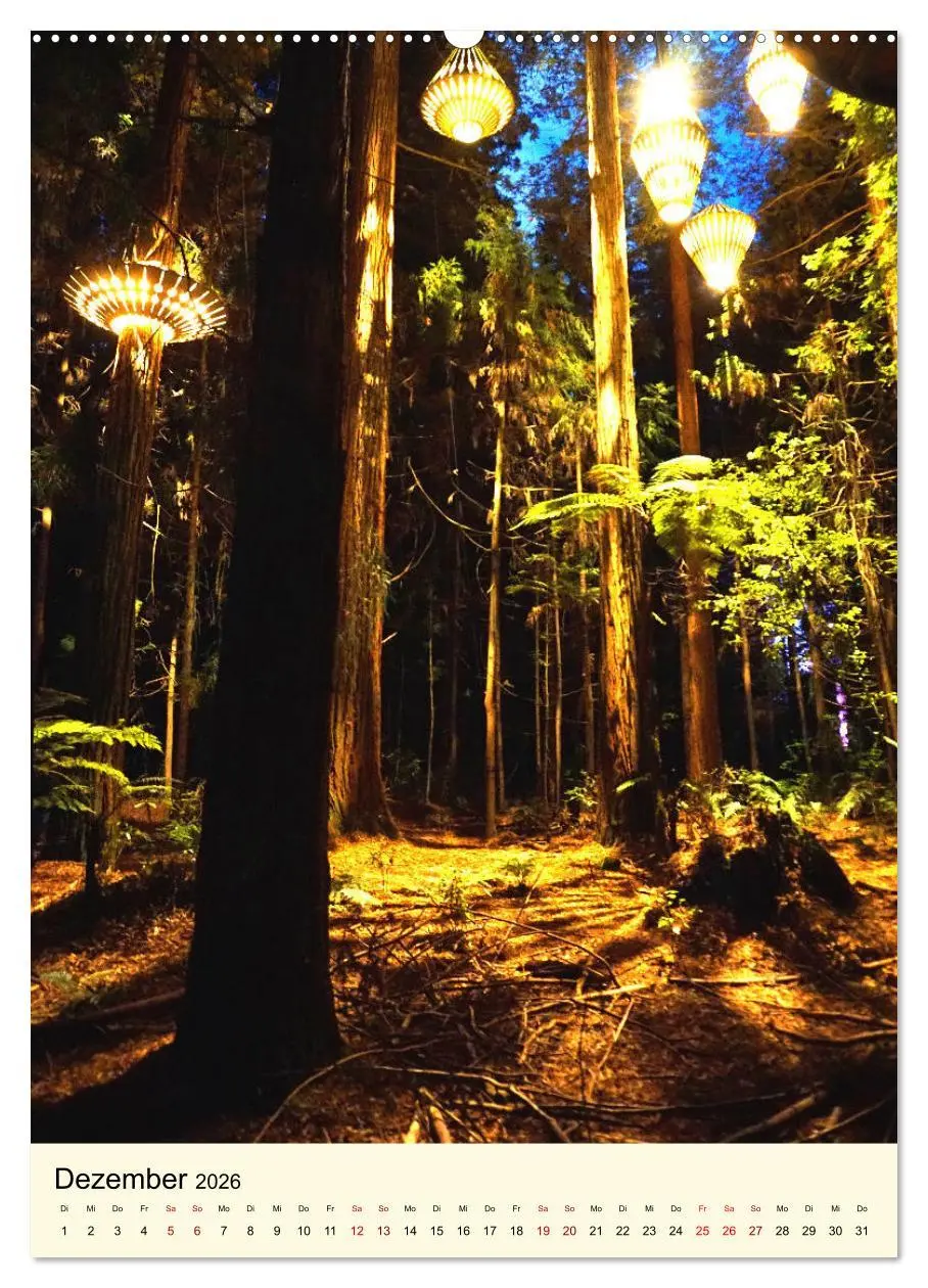 Bild: 9783516405095 | Redwoods - Faszination Mammutbäume (Wandkalender 2026 DIN A2 hoch),...